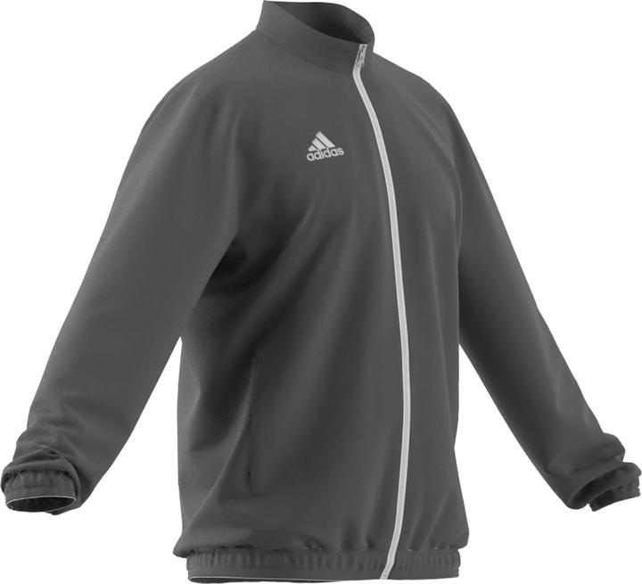 Actual product image adidas Entrada 22 presentation jacket men (S)