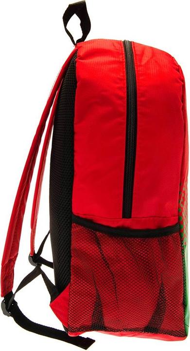 Actual product image FA Wales Backpack Cymru