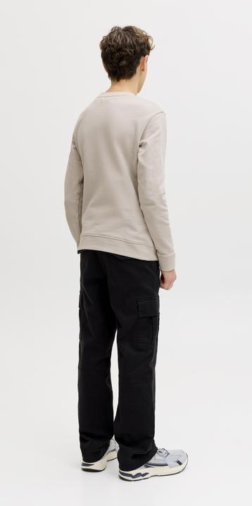 Produktbild Jack & Jones Jjearchive Graphic Sweat Cn Sn Jnr (128)