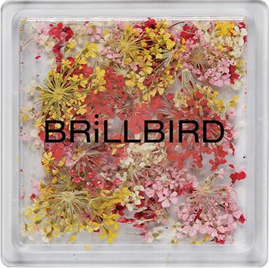 Immagine prodotto BrillBird Mix artistico floreale - Alba (Essiccatore smalto per unghie, Sunrise)