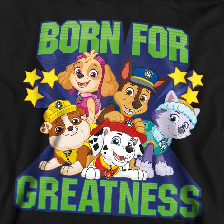 Immagine prodotto Paw Patrol Born For Greatness Felpa Adulto Unisex (XXL)