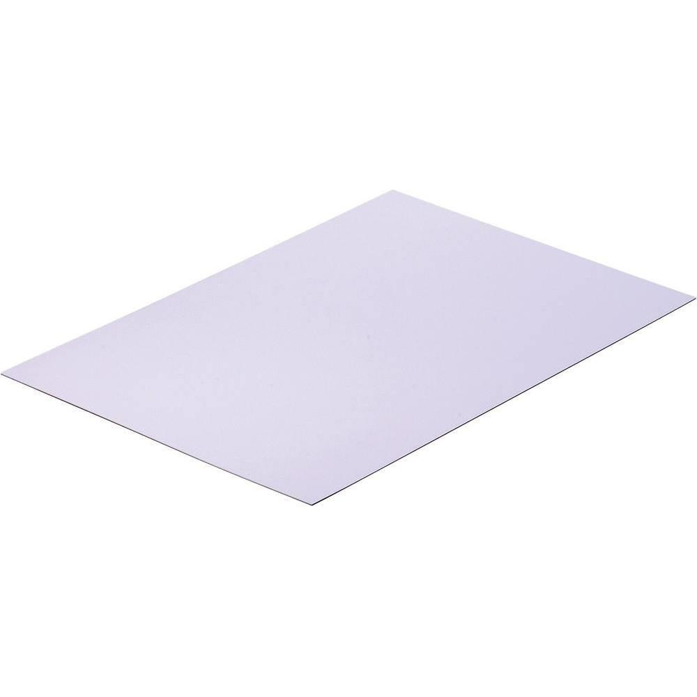 Reely Polystyrol-Platte (L x B) 330