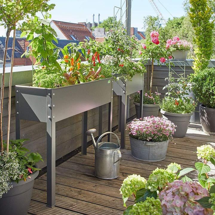 Produktbild Bio Green Freising L