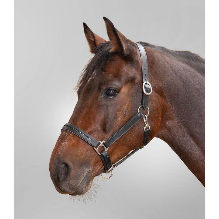 Produktbild Waldhausen Lederhalfter Diamond