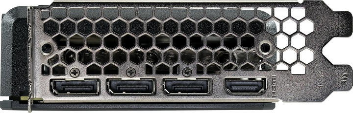 Actual product image XpertVision Palit GeForce RTX 3060 Dual (12 GB)