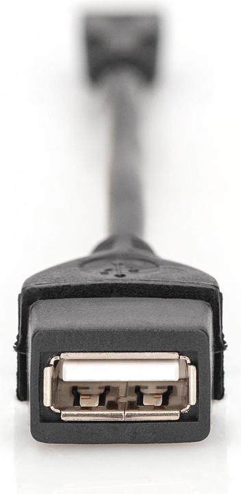 Produktbild Digitus AK-300309-002-S (0.20 m, USB 2.0)