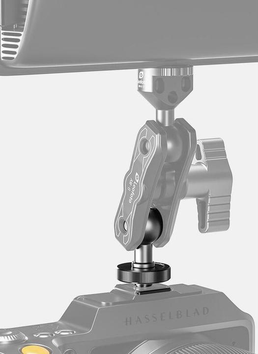 Image du produit Leofoto Gelenk mit Blitzfuss AM-8-5