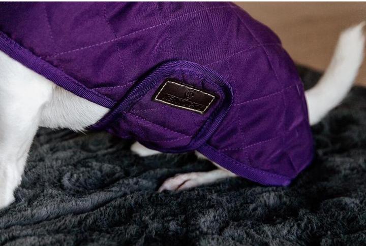 Actual product image Kentucky Dogwear Dog Coat Original (XXS, Dog coat)