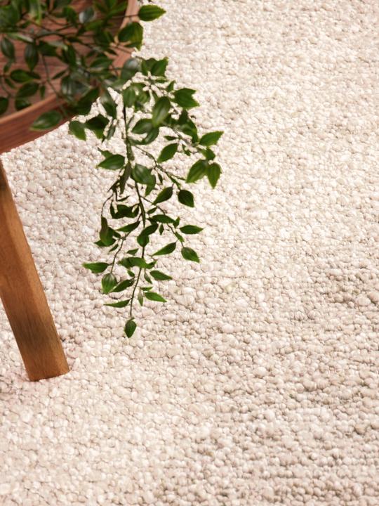 Produktbild Ted Baker Portobello (230 x 160 cm)