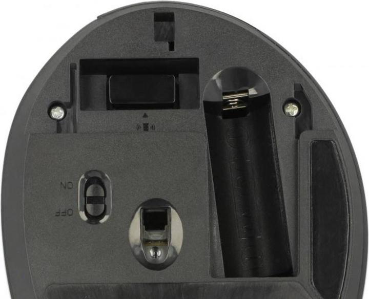 Actual product image Delock 12599 (Wireless)