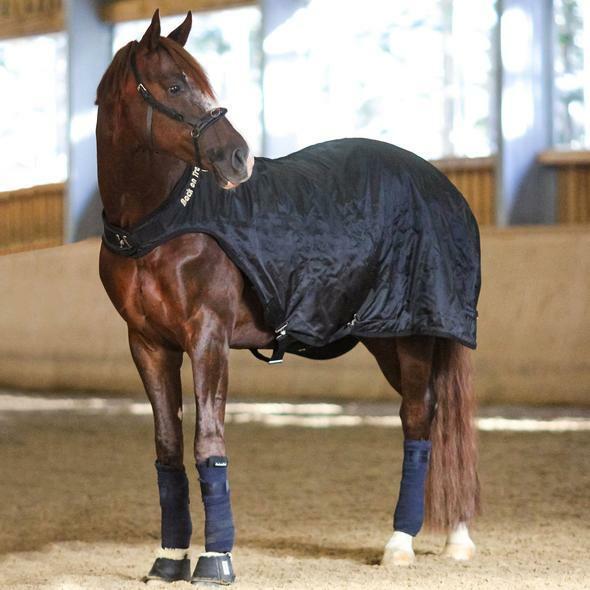 Immagine prodotto Back on Track Coperta guida (145 cm)