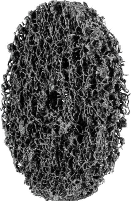 Image du produit Pferd Disques Policlean