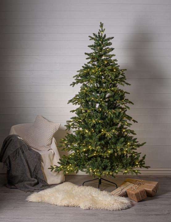 Immagine prodotto Star Trading Larvik 700 (210 cm)