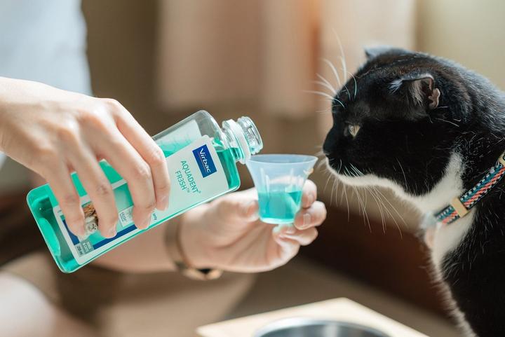 Immagine prodotto Virbac VET AQUADENT płyn do higieny jamy ustnej 250ml (Cane, Gatto)