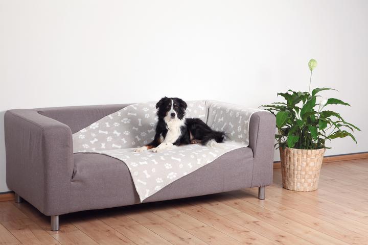 Image du produit Trixie Kenny (Chien)