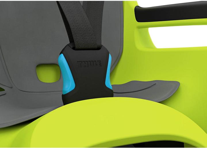 Actual product image Thule RideAlong 2 (Frame rear frame, Seat tube)