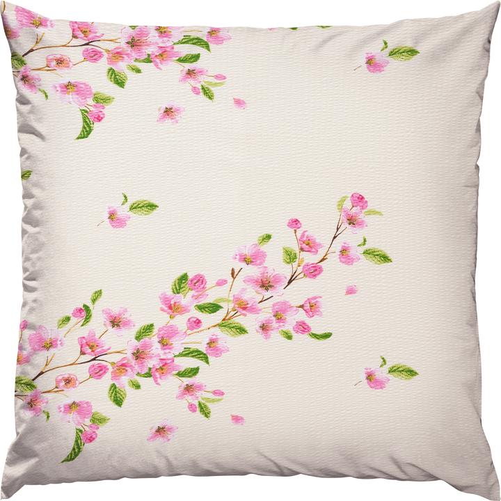 wool-white-rose