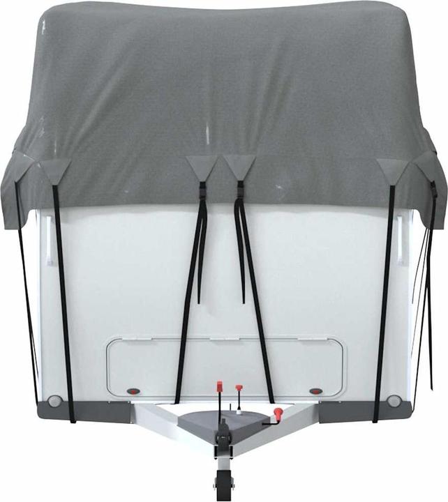 Actual product image vidaXL Caravan roof tarpaulin