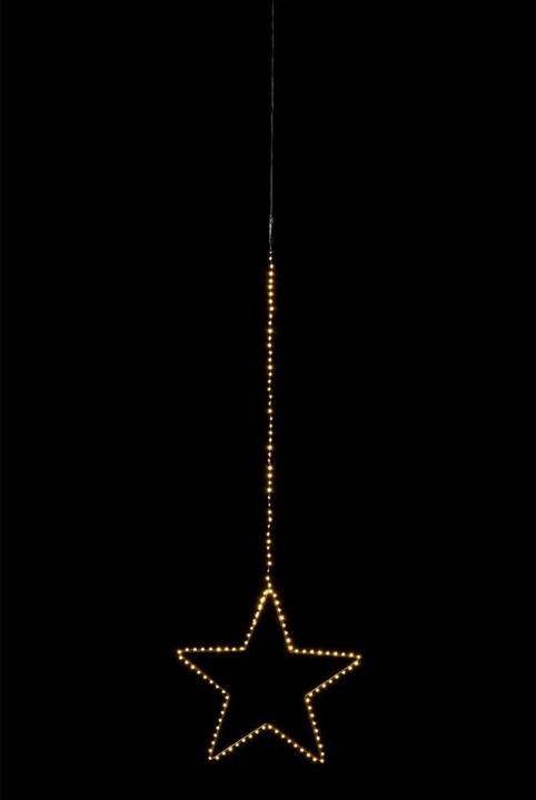 Immagine prodotto STT Storno giavanese