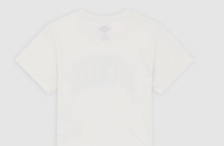Immagine prodotto Dickies Aitkin Tee Egret (XS)