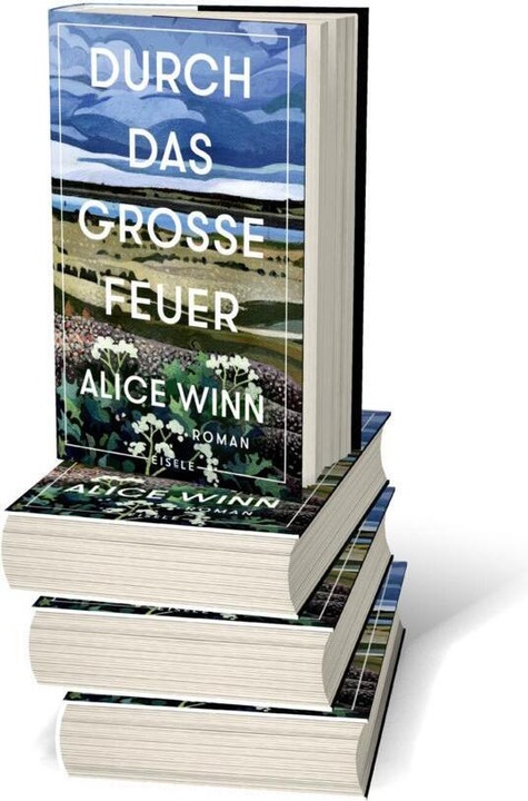 Produktbild Durch das grosse Feuer (Deutsch, Alice Winn, Benjamin Mildner, Ursula Wulfekamp, 2023)