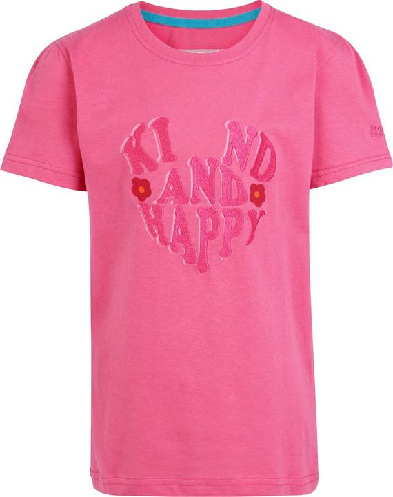 Flamingo-Rosa