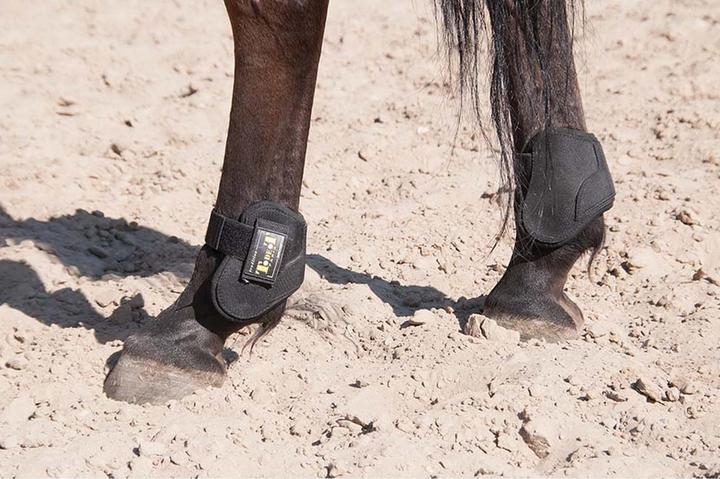 Immagine prodotto TdeT Paratges per cavallo integrali (M)