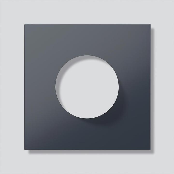 Immagine prodotto Siedle Accessori citofono Kst Doorstat SSS210005930-00