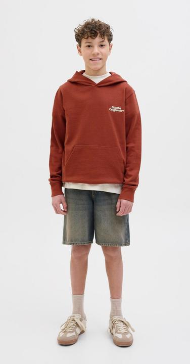 Image du produit Jack & Jones Rückenprint Kapuzenpullover Junior Kapuzenpullover (176)