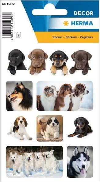 Produktbild HERMA Sticker Hunde (72 Sticker)