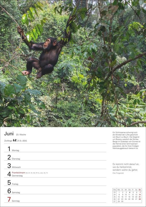 Produktbild Harenberg Wunder der Natur Wochenplaner 2026 - 53 faszinierende Fotografien