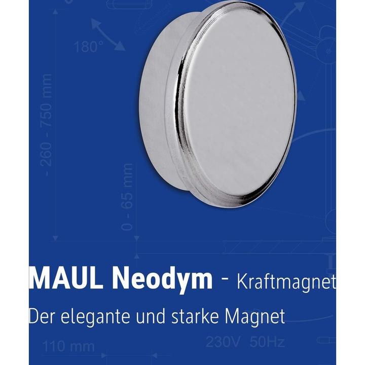 Actual product image Maul Power magnet (1x)