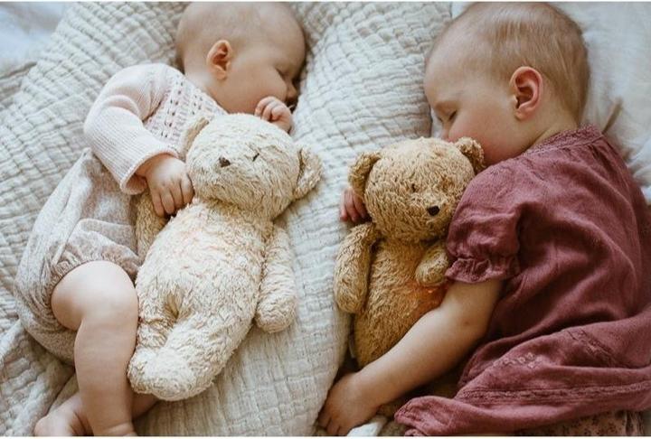 Actual product image Moonie Bear 2.0 Organic Grey