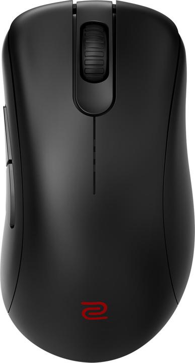 Souris