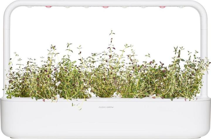 Produktbild Click and Grow Thymian (Kräutersamen)