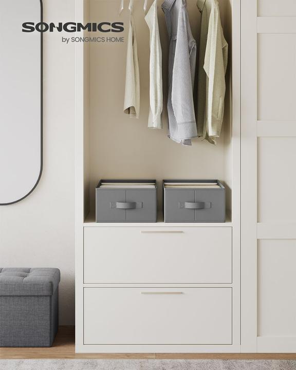 Image du produit Songmics 6-teiliges Kleiderschrank-Organizer-Set (30 cm, 6x)
