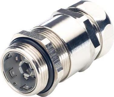Image du produit Lapp Raccord de tuyau argent