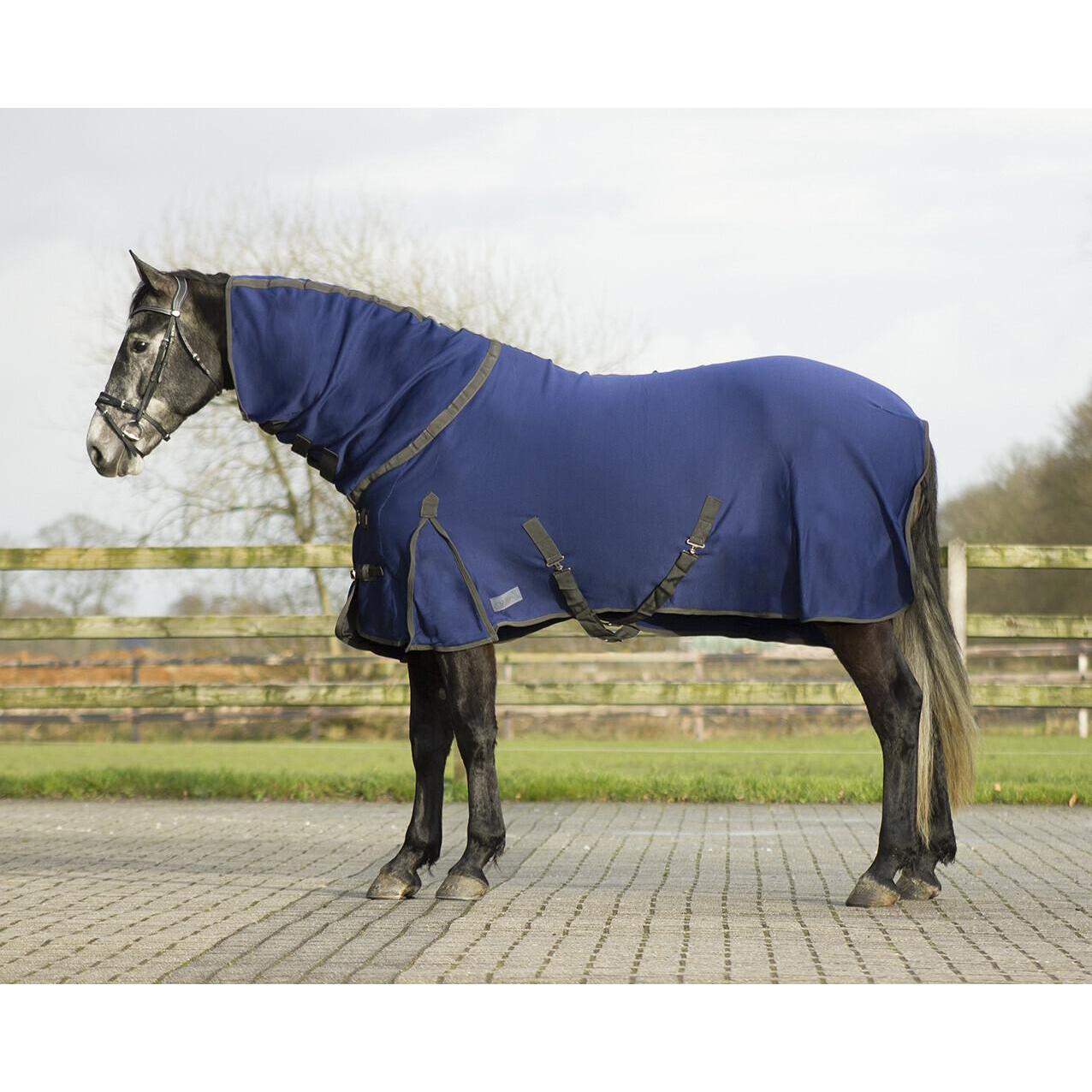 Qhp, Pferdedecke, (155 cm)