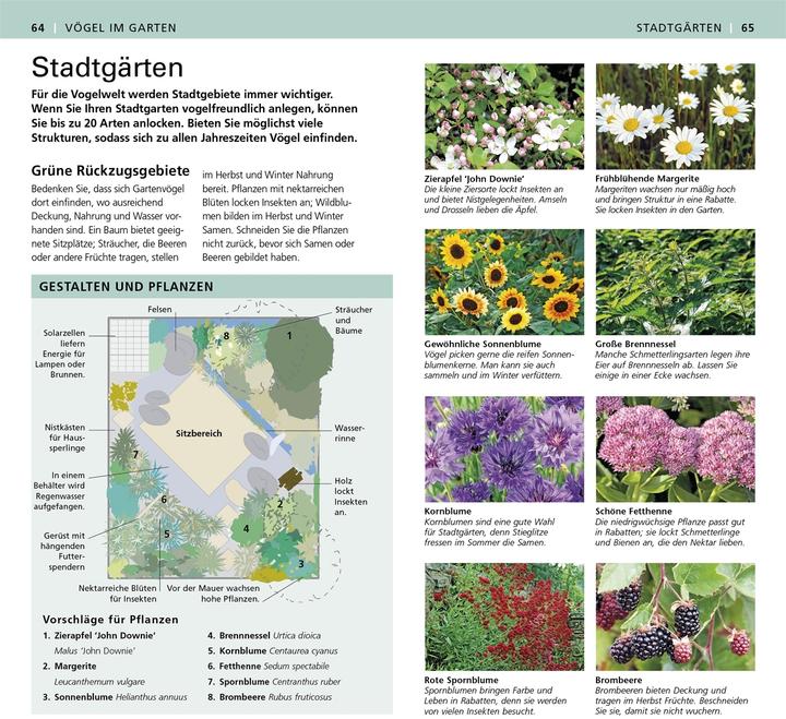Produktbild Gartenvögel beobachten und bestimmen (Deutsch, DK Verlag, 2015)