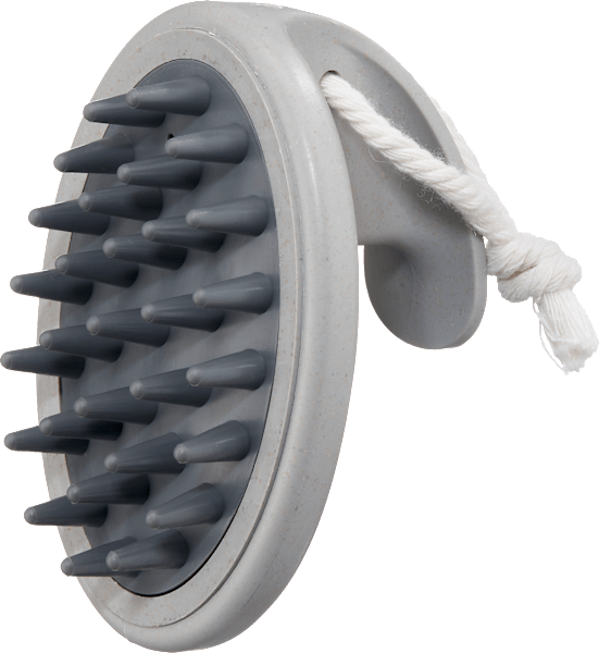 Actual product image dm ebelin Shampoo and scalp brush