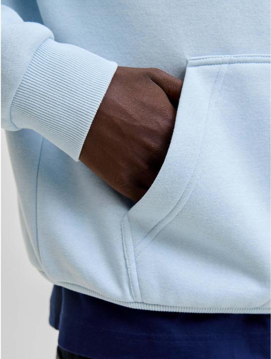 Produktbild Jack & Jones Jjebradley Sweat Hood Noos (M)