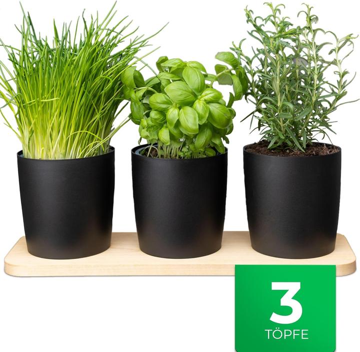 Actual product image Novaliv Herb station set (43.50 x 14 x 14.50 cm)