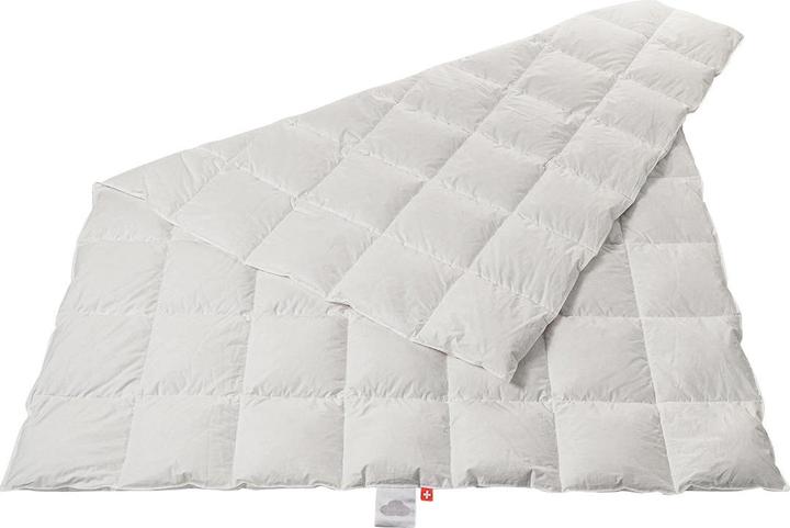 Image du produit Duvetsuisse Light Duck Basic (470 g, Duvet, 150 x 210 cm)