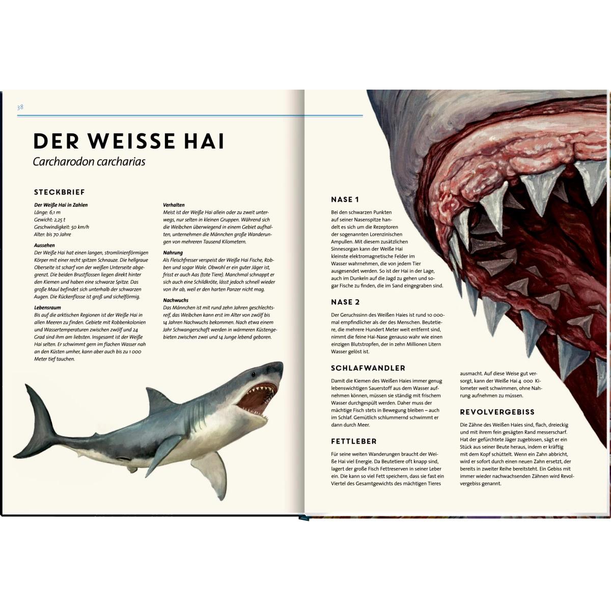 Thumbnail - Lebensgross, Kinderbücher von Lars Baus, Holger Haag