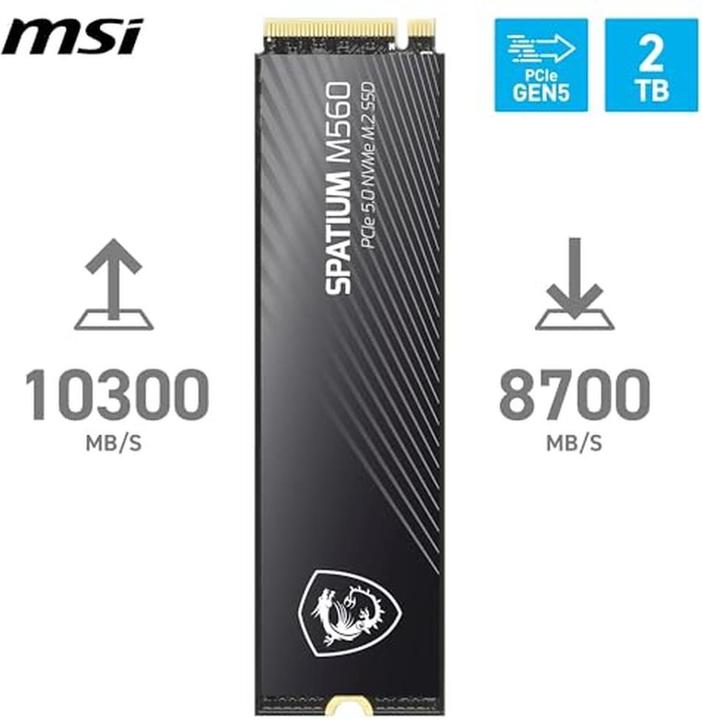 Produktbild MSI Spatium M560 (2000 GB, M.2 2280)
