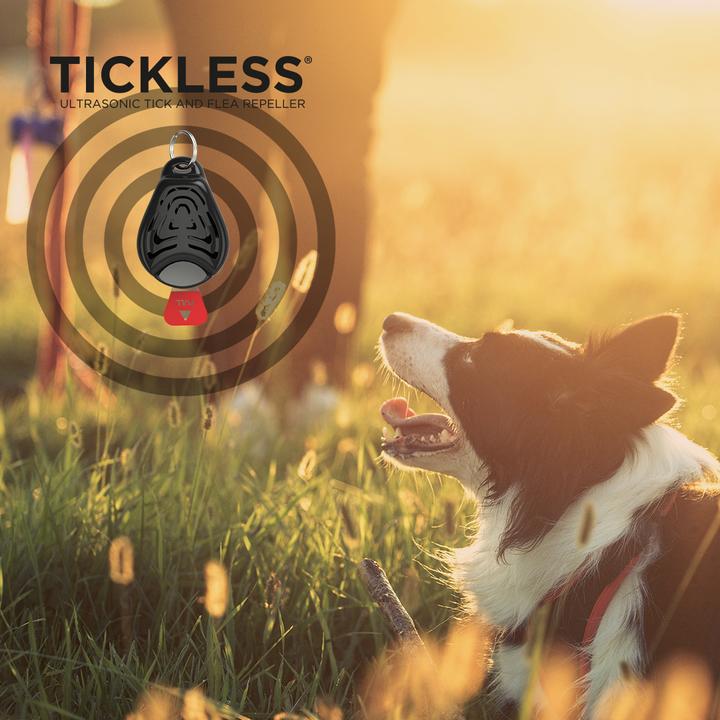 Actual product image Tickless Pet (Dog, Cat)