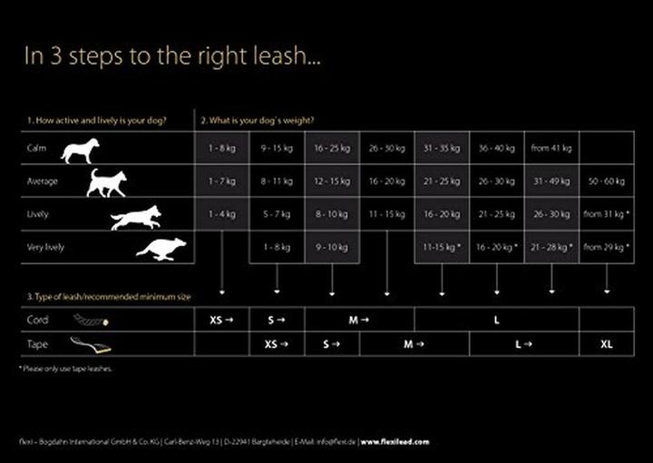 Produktbild Flexi Giant (M, Hund, Spazieren)