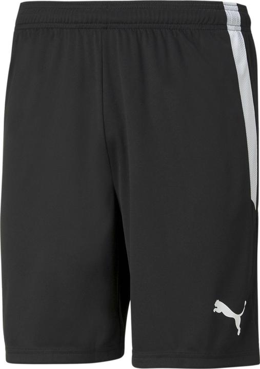 Actual product image Puma teamLIGA Shorts-704924 (52, L)