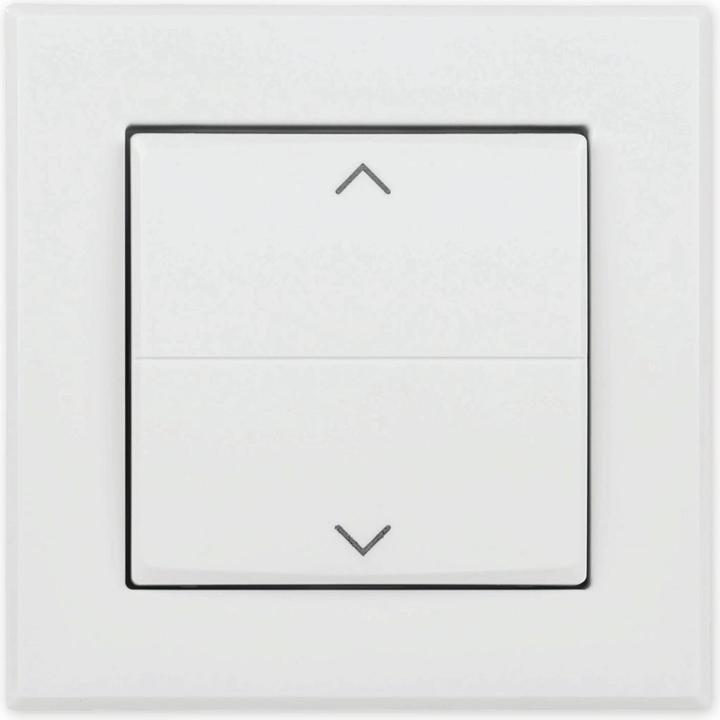 Actual product image EQ-3 Push-button rocker