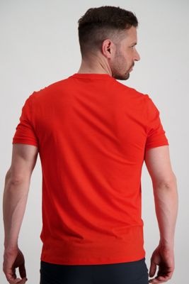 Produktbild Icebreaker Spector Seven Summits Herren T-Shirt